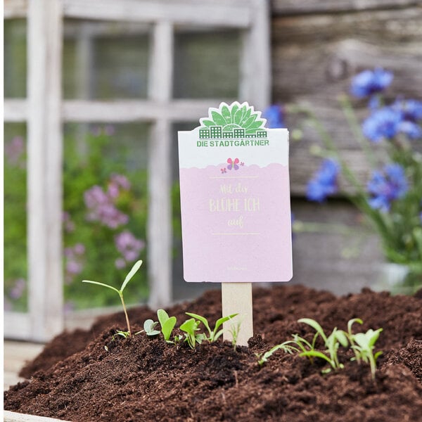 Die Stadtgärtner Wildblumen-Saatgut | Mit dir blühe ich auf | Tolles Garten-Geschenk von Die Stadtgärtner