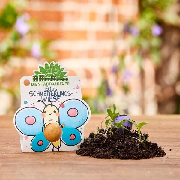Die Stadtgärtner bunte Blumenmurmel das Original | "Ellas Duftgarten": 1 große hangerollte Samenbombe mit Wildblumen-Saatgut von Die Stadtgärtner