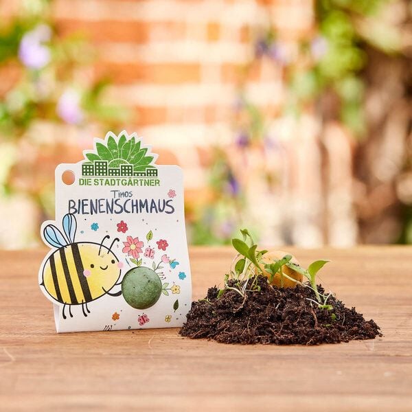 Die Stadtgärtner bunte Blumenmurmel das Original von Die Stadtgärtner