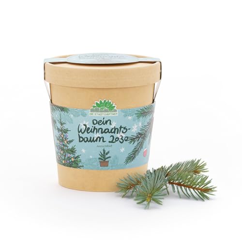 Geschenk "Dein Weihnachtsbaum 2030" von Die Stadtgärtner | Christbaum-Anzuchtset mit Fichten-Samen | Inkl. Pflanzbecher, Saatgut und Kokoserde | Als Wichtelgeschenk, zum Nikolaus, für Adventskalender Geschenk "Dein Weihnachtsbaum 2030" von Die Stadtgärtner | Christbaum-Anzuchtset mit Fichten-Samen | Inkl. Pflanzbecher, Saatgut und Kokoserde | Als Wichtelgeschenk, zum Nikolaus, für Adventskalender von Die Stadtgärtner