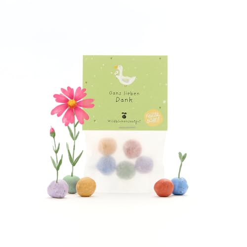 Nachhaltiges Dankeschön-Geschenk: 5 bunte Blumenmurmeln | Farbenfrohe Seedbombs mit Wildblumensaatgut | Als Gastgeschenk, Dankeschön & kleine Aufmerksamkeit | 100% ökologisch und mind. 2 Jahre haltbar von Die Stadtgärtner
