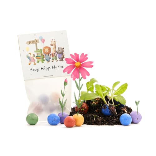 Nachhaltiges Geschenk zur Einschulung – Hipp Hipp Hurra | 5 bunte Blumenmurmeln | Geschenk zum Schulstart, zur Schuleinführung, zum Start in die 1. Klasse | Geschenkidee für die Schultüte, Zuckertüte Nachhaltiges Geschenk zur Einschulung – Hipp Hipp Hurra | 5 bunte Blumenmurmeln | Geschenk zum Schulstart, zur Schuleinführung, zum Start in die 1. Klasse | Geschenkidee für die Schultüte, Zuckertüte von Die Stadtgärtner