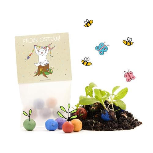 Ostergeschenk "Frohe Ostern" – Set aus 10x5 bunten Blumenmurmeln l Kleine Saatkugeln in einem Tütchen mit Hasen-Motiv und Lichterkette l Geschenk zu Ostern l Geschenkidee Ostern l Ideal fürs Osternest Ostergeschenk "Frohe Ostern" – Set aus 10x5 bunten Blumenmurmeln l Kleine Saatkugeln in einem Tütchen mit Hasen-Motiv und Lichterkette l Geschenk zu Ostern l Geschenkidee Ostern l Ideal fürs Osternest von Die Stadtgärtner