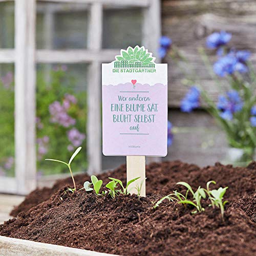 Die Stadtgärtner Saatgruß - Wer anderen eine Blume sät, blüht selbst auf - Kleines Geschenk mit Wildblumen-Samen - Aufmerksamkeit, Dankeschön, Gruß, Mitbringsel, Gastgeschenk von Die Stadtgärtner