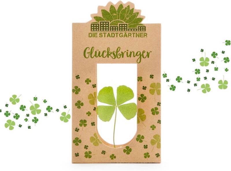 Trockenblume Natürliche Geschenke für alle Gefühle: Wünsche, Glück, Liebe & Trost, Die Stadtgärtner von Die Stadtgärtner