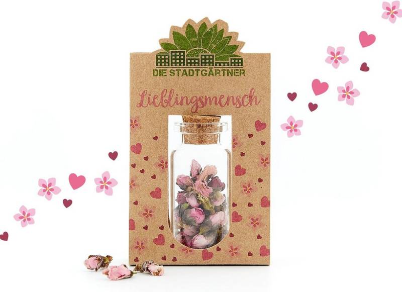 Trockenblume Natürliche Geschenke für alle Gefühle: Wünsche, Glück, Liebe & Trost, Die Stadtgärtner von Die Stadtgärtner