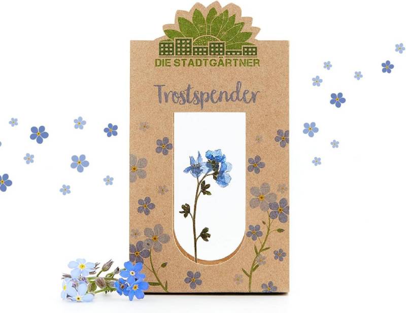 Trockenblume Natürliche Geschenke für alle Gefühle: Wünsche, Glück, Liebe & Trost, Die Stadtgärtner von Die Stadtgärtner
