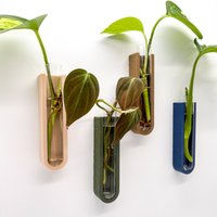 Zimmerpflanzen Anzucht-Set | Pflanzenvermehrung Leicht Gemacht Stecklinghalter & Vase Für Ableger Geschenkidee von DieDruckStube