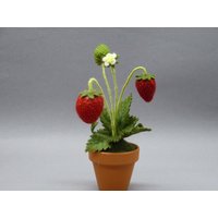 Erdbeeren Aus Filz von DieFilzlaus