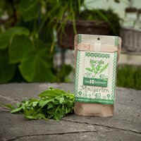Minigarten Bio Rucola "Grazia" | Komplettes Anzuchtset Für Enthält Gesiebte Erde, Bestes Saatgut & Eine Ausführliche Anleitung von DieStadtgaertner