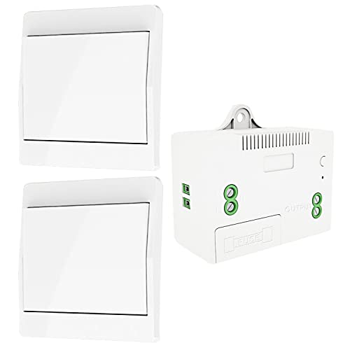 DieseRC Selbst-generierender Funk Lichtschalter, RF Funkschalter und Relais Empfänger, Controller mit Sicherung, Kinetischer Schalter ohne Batterie von DieseRC