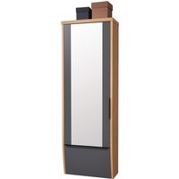 Dieter Knoll Hänge-Spiegelgarderobenschrank ARCO TREND, Holzfurnier von Dieter Knoll