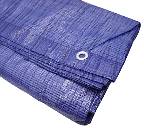 (1 Stück) Abdeckplane Wasserdicht 8x10m Blau 55g/m2 Blatt mit Metallringen Schutzfolien Autoabdeckung Mehrzweckplane (1 Stück, 8 x 10m) von Diforma