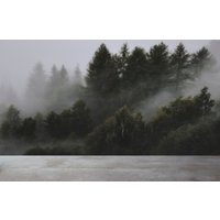 Abnehmbare Tapete Schälen Und Stick Wand Papier Wandbild - Kiefernwald Im Nebel von DigitalIcons