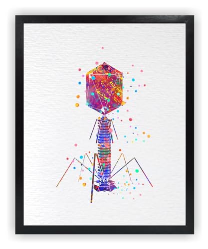 Dignovel Studios 33 x 48 cm ungerahmter Kunstdruck für Bakteriophagen, medizinische Mikrobiologie, Viren, Biologie, Bakterien, Mikroskopie, Wissenschaft, Aquarell, Kunstdruck, Poster, DN598 Dignovel Studios 33 x 48 cm ungerahmter Kunstdruck für Bakteriophagen, medizinische Mikrobiologie, Viren, Biologie, Bakterien, Mikroskopie, Wissenschaft, Aquarell, Kunstdruck, Poster, DN598 von Dignovel Studios