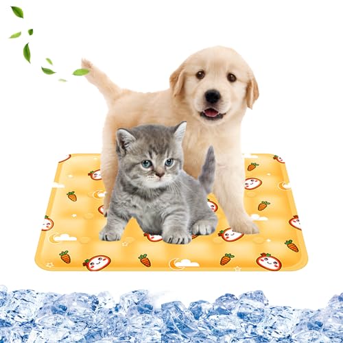 Kühlmatte für Hunde, Hunde-Kühlmatten, ungiftiges Gel, selbstkühlendes Pad, Haustier-Kühlmatte, langlebiges Kühlkissen, Bett für Haustiere, Hunde, Katzen im heißen Sommer, 30 x 40 cm, Orange von DiiWmme