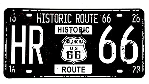 DiiliHiiri Route 66 US-Nummernschild, amerikanisches Vintage-Schild, Route 66, Retro-Dekoration für Bar, Pub, Café, Herrenhöhle, Garage oder Werkstatt, 30 x 15 cm (2651-37) von DiiliHiiri