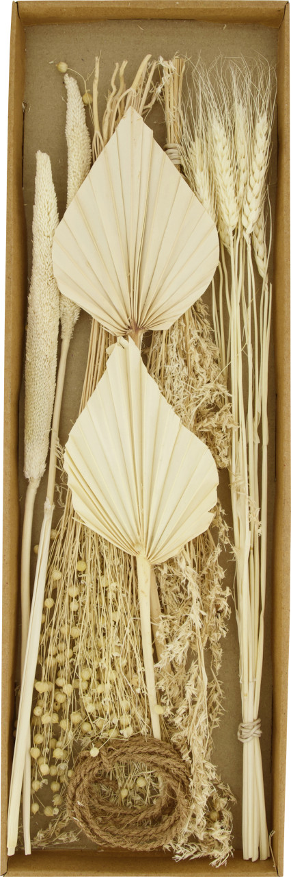 Dijk Blumenmischung getrocknet gebleicht 57 x 18 x 3 cm von Dijk Natural