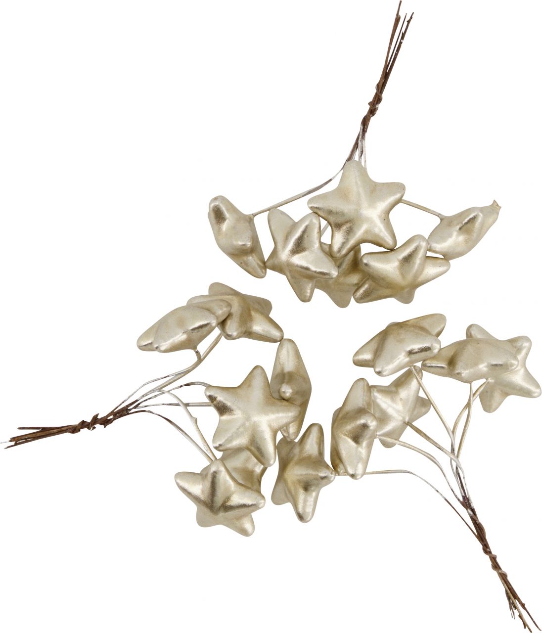 Dijk Sternstangen 3 x 3 x 1 cm champagner Dijk Sternstangen 3 x 3 x 1 cm champagner von Dijk Natural