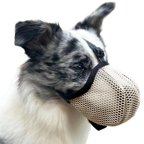 Maulkorb für Große Hunde, Prevent Kauen/Fressen/Beißen Hunde Maulkorb, Atmungsaktiv Reflektierende Einstellbare Maulkorb Mittlere Hund (Beige, M) von Diketone