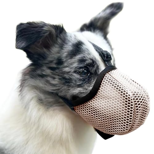 Maulkorb für Große Hunde, Prevent Kauen/Fressen/Beißen Hunde Maulkorb, Atmungsaktiv Reflektierende Einstellbare Maulkorb Mittlere Hund (Gelb, L) von Diketone