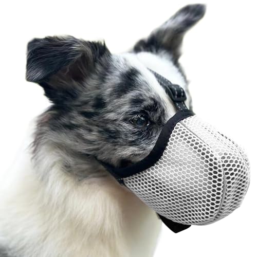 Maulkorb für Große Hunde, Prevent Kauen/Fressen/Beißen Hunde Maulkorb, Atmungsaktiv Reflektierende Einstellbare Maulkorb Mittlere Hund (Grau, M) von Diketone