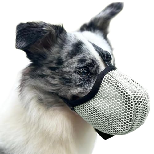 Maulkorb für Große Hunde, Prevent Kauen/Fressen/Beißen Hunde Maulkorb, Atmungsaktiv Reflektierende Einstellbare Maulkorb Mittlere Hund (Grun, S) von Diketone