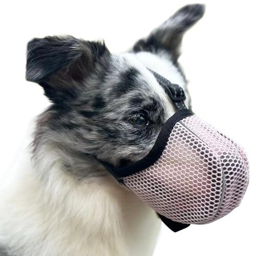 Maulkorb für Große Hunde - Prevent Kauen/Fressen/Beißen, Atmungsaktiv Reflektierende Einstellbare für Mittlere Hunde (Rosa, L) von Diketone