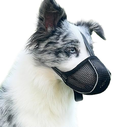 Maulkorb für Große Hunde - Prevent Kauen/Fressen/Beißen, Atmungsaktiv Reflektierende Einstellbare für Mittlere Hunde (Schwarz, M) von Diketone