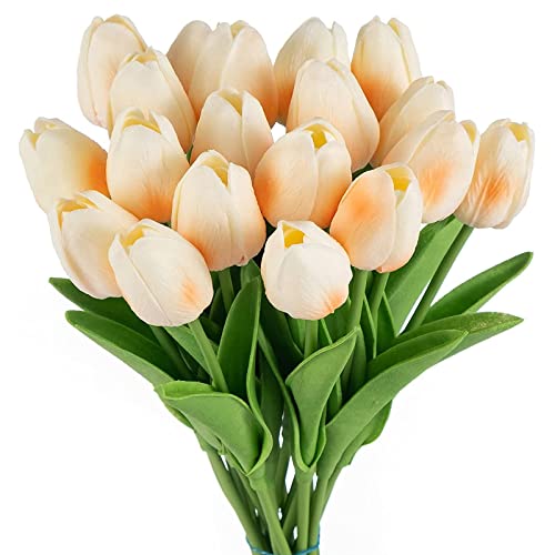 DiliDala Künstliche Blumen Tulpen, 10 Stück Gefälschte Tulpen Künstlich Latex für Hochzeitszimmer Blumenstrauß Hotel Party Haus DIY Decor (Leichter Champagner) von DiliDala