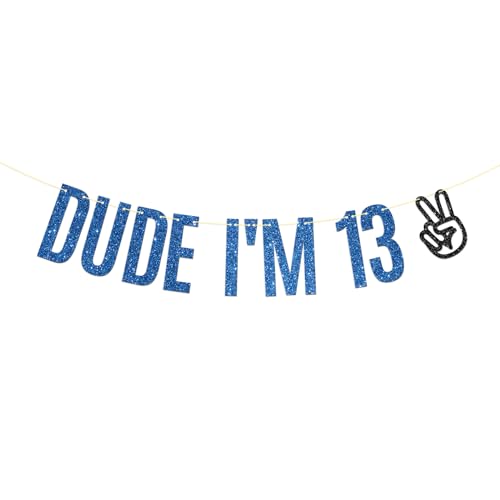 Dill-Dall Dude I'm 13 Birthday Banner, Level 13 Unlocked, Officially Teenager 13 Hanging Sign Boys Happy 13th Birthday Party Decorations Supplies von Dill-Dall