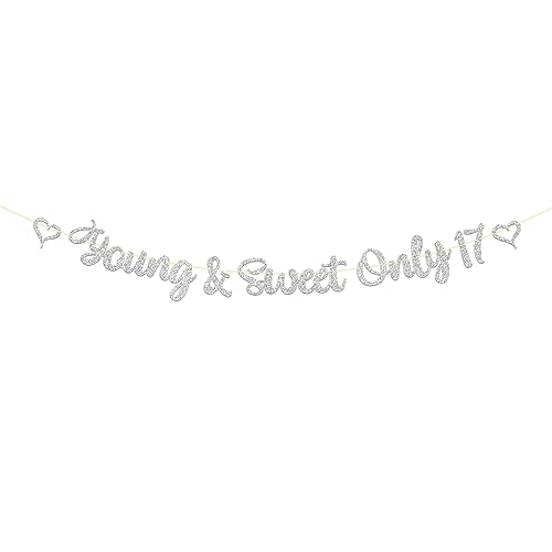 Dill-Dall Young & Sweet Only 17 Banner Mädchen 17. Geburtstag Party Banner Cheers to 17 Years Happy 17th Birthday Schild Siebzehn Jahre alt Geburtstag Party Dekoration Supplies von Dill-Dall