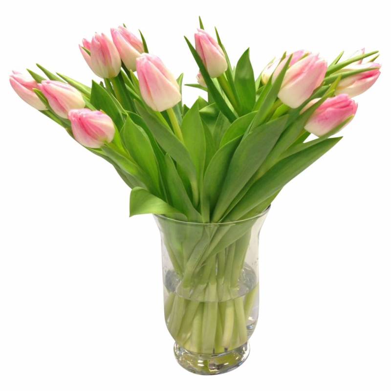 10 Tulpen First Class von Dillenberger Blumen