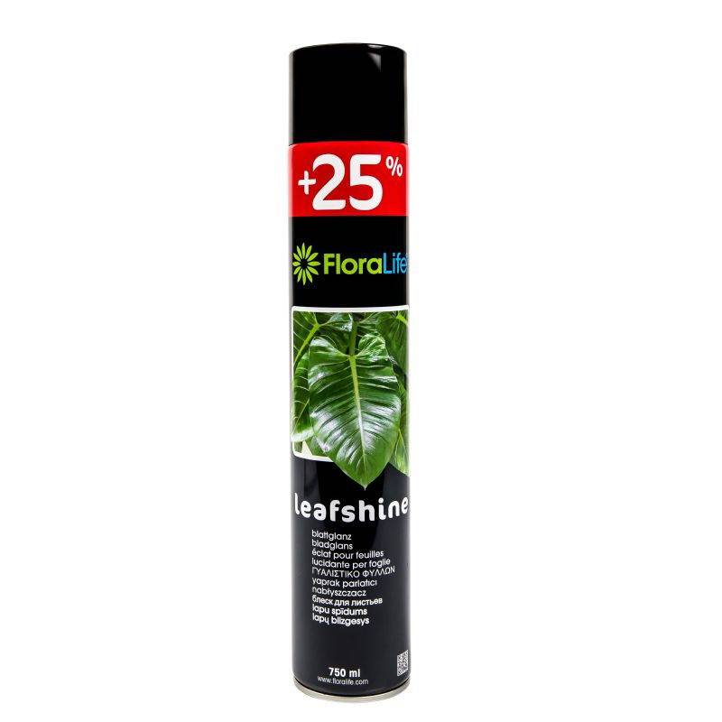 Spring Blattglanzspray 750ml von Dillenberger Blumen