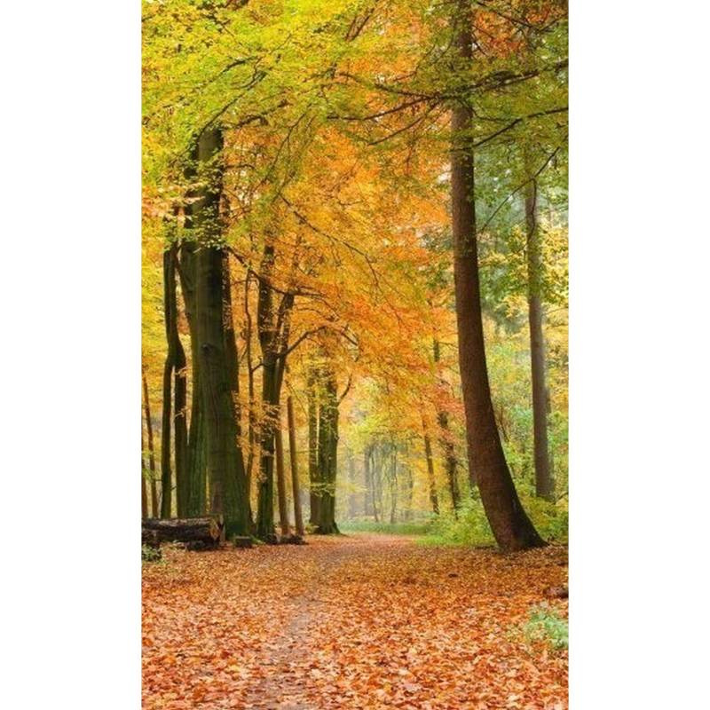 Dimex | Dimex Line | MS-2-0099  | Fototapete | Vlies | Versch. Größen | Wald & Pflanzen | Orange Dimex | Dimex Line | MS-2-0099  | Fototapete | Vlies | Versch. Größen | Wald & Pflanzen | Orange von Dimex