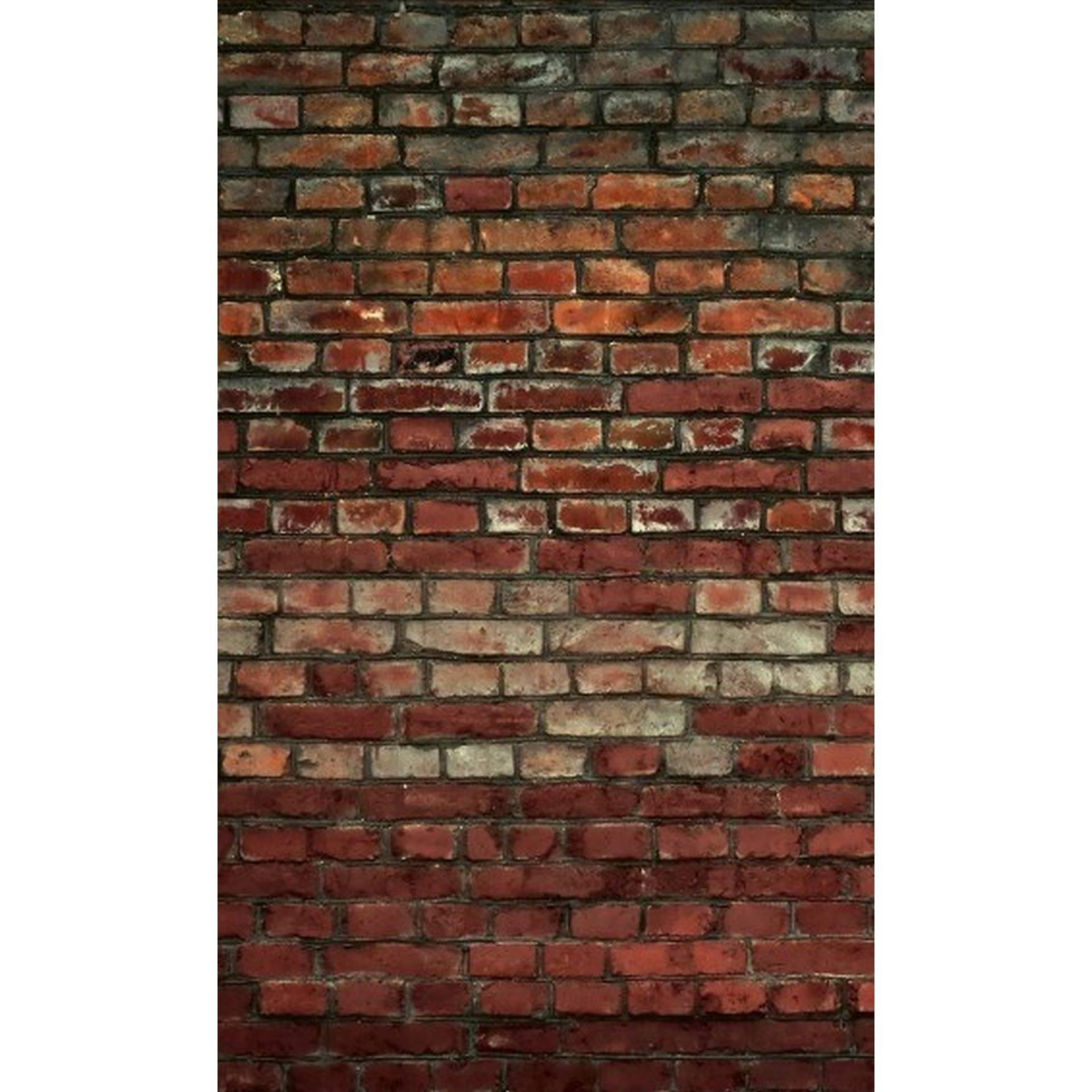 Dimex | Dimex Line | MS-2-0166 | Fototapete | Vlies | Versch. Größen | Stein & Beton | Rot Dimex | Dimex Line | MS-2-0166 | Fototapete | Vlies | Versch. Größen | Stein & Beton | Rot von Dimex