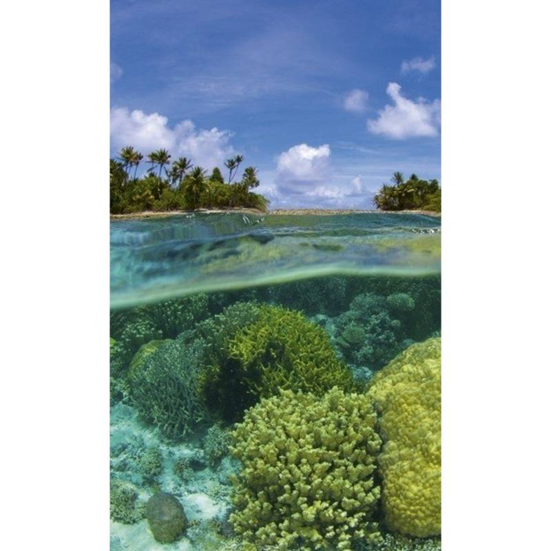 Dimex | Dimex Line | MS-2-0200 | Fototapete | Vlies | Versch. Größen | Strand & Meer | Blau Dimex | Dimex Line | MS-2-0200 | Fototapete | Vlies | Versch. Größen | Strand & Meer | Blau von Dimex
