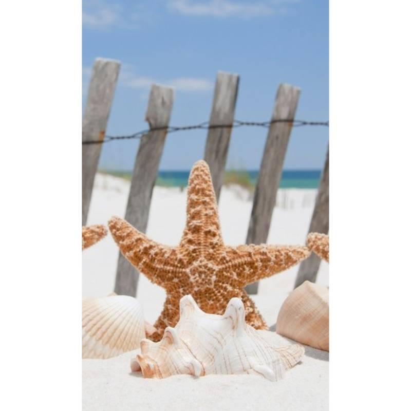 Dimex | Dimex Line | MS-2-0206 | Fototapete | Vlies | Versch. Größen | Strand & Meer | Beige Dimex | Dimex Line | MS-2-0206 | Fototapete | Vlies | Versch. Größen | Strand & Meer | Beige von Dimex