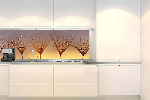 DIMEX Küchenrückwand Folie Selbstklebend Tropfen AUF LÖWENZAHN 180 x 60 cm | Klebefolie - Dekofolie - Spritzschutz für Küche von DIMEX