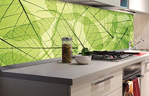 DIMEX Küchenrückwand Folie selbstklebend BLATTADERN | Klebefolie - Dekofolie - Spritzschutz für Küche | Made in EU - 180 cm x 60 cm von DIMEX