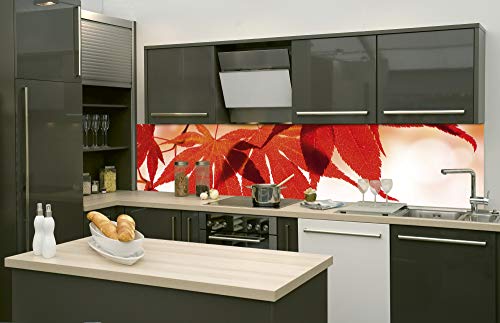 DIMEX Küchenrückwand Folie selbstklebend ROTE BLÄTTER | Klebefolie - Dekofolie - Spritzschutz für Küche | Made in EU - 260 cm x 60 cm von DIMEX