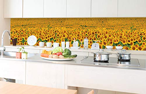 DIMEX Küchenrückwand Folie selbstklebend SONNENBLUMENFELD | Klebefolie - Dekofolie - Spritzschutz für Küche | Made in EU - 350 cm x 60 cm von DIMEX