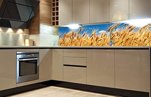 Küchenrückwand Folie selbstklebend WEIZENFELD | Klebefolie - Dekofolie - Spritzschutz für Küche | Made in EU - 180 cm x 60 cm Küchenrückwand Folie selbstklebend WEIZENFELD | Klebefolie - Dekofolie - Spritzschutz für Küche | Made in EU - 180 cm x 60 cm von Dimex