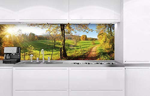 Dimex Küchenrückwand Verbundplatte Wiese 180 x 60 cm | Spritzschutz Küche für Herd Spüle | Premium Qualität, Acrylglas - Plexiglas, Stärke 5 mm - Made in EU | Inklusive Kleber Dimex Küchenrückwand Verbundplatte Wiese 180 x 60 cm | Spritzschutz Küche für Herd Spüle | Premium Qualität, Acrylglas - Plexiglas, Stärke 5 mm - Made in EU | Inklusive Kleber von Dimex