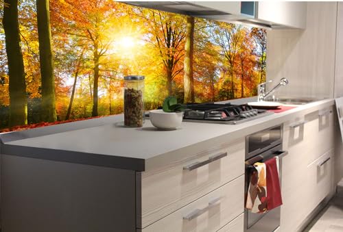 Küchenrückwand Folie Selbstklebend Bunte BÄUME 180 x 60 cm | Klebefolie - Dekofolie - Spritzschutz für Küche | Made in EU Küchenrückwand Folie Selbstklebend Bunte BÄUME 180 x 60 cm | Klebefolie - Dekofolie - Spritzschutz für Küche | Made in EU von Dimex