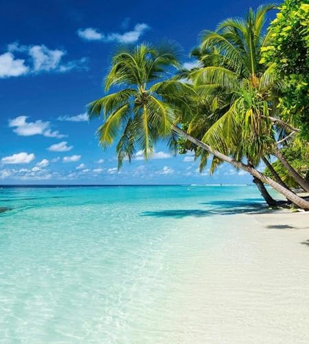 Vlies Fototapete STRAND IM PARADIES 225 x 250 cm | Vliestapete - Wandtapete inklusive Kleister | PREMIUM VLIES QUALITÄT von Dimex