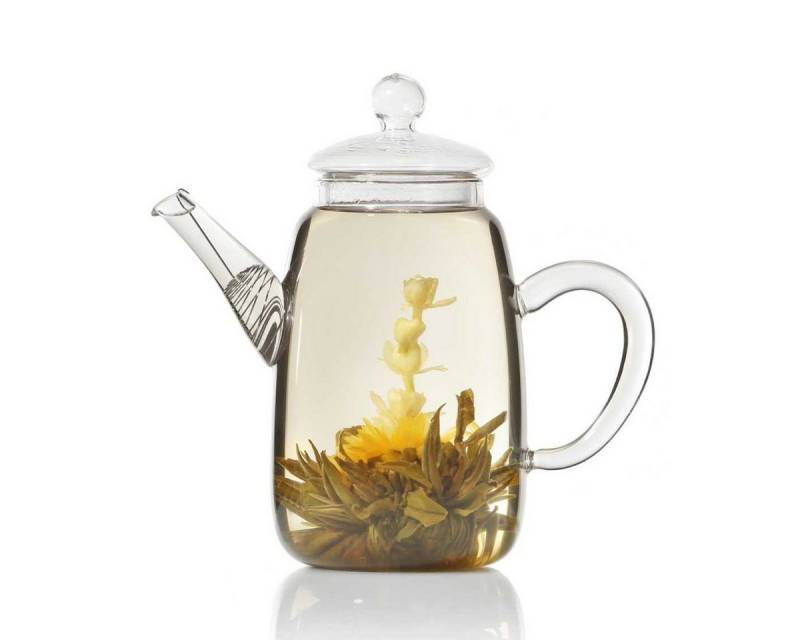 Dimono Teekanne Teekanne aus Glas mit Teefilter, 600 ml von Dimono