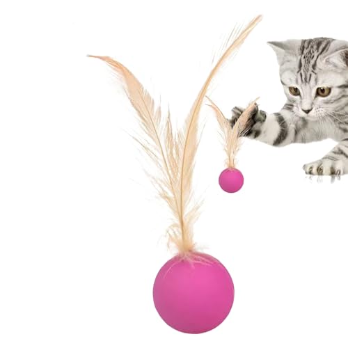 Cat Toy Ball – Interaktives sensorisches Stimulationsspielzeug | Selbst-Spielball, robuste Konstruktion, widersteht Spiel, Jagdtraining, Pe von Dinchaakuarry