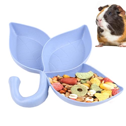 Futternapf für Tiere - Design der Blätter Kasattini Futterbehälter, Mini-Futter mit Fach | Futter für Kleintiere, Wasser und Alimen Futternapf für Tiere - Design der Blätter Kasattini Futterbehälter, Mini-Futter mit Fach | Futter für Kleintiere, Wasser und Alimen von Dinchaakuarry