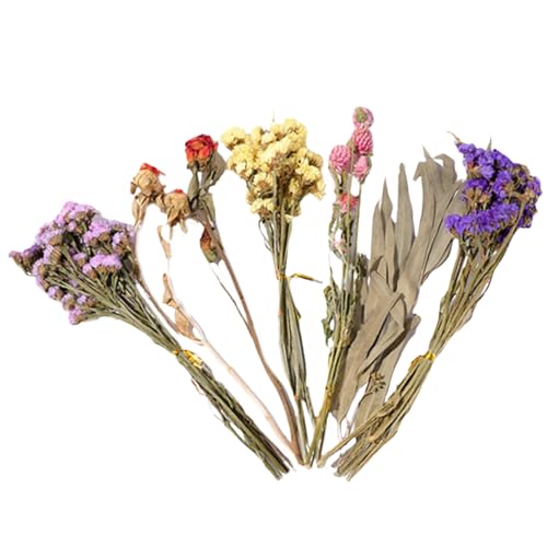 Hamster Blumenbettwäsche - Botanisches Haustiernest Material, weiches Käfigdekor | Natürlicher Blumenfüller mit sanfter Textur für Guinea Lemming Tier Habitat Komfort Ruhe Spiel Schlaf In Hamster Blumenbettwäsche - Botanisches Haustiernest Material, weiches Käfigdekor | Natürlicher Blumenfüller mit sanfter Textur für Guinea Lemming Tier Habitat Komfort Ruhe Spiel Schlaf In von Dinchaakuarry